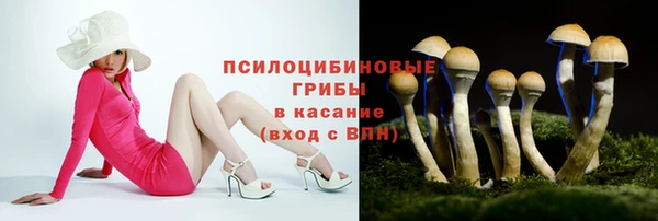 дурь Волосово