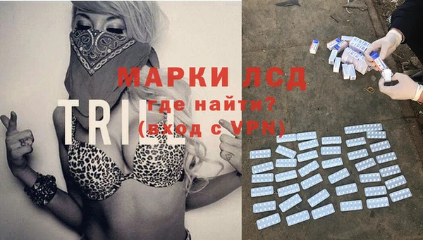 спиды Вязники