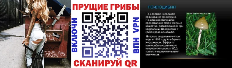 Галлюциногенные грибы мухоморы  Гусь-Хрустальный 